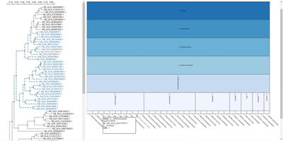 Context-Aware Phylogenetic Trees for Phylogeny-Based Taxonomy Visualization